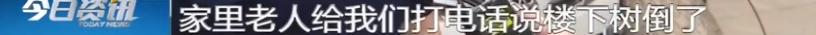 DƬ